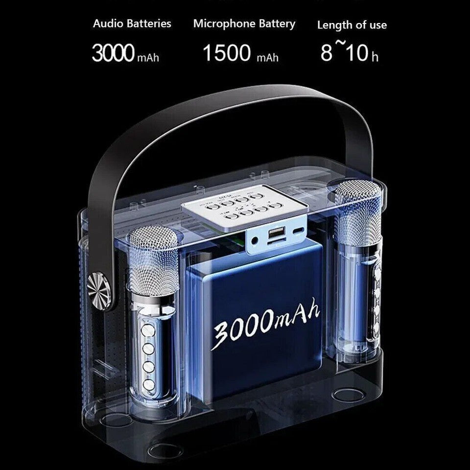 Portable HiFi Wireless Karaoke Speaker with 2 Wireless Microphones | DSP Audio LED Light Bluetooth PA Party Speaker