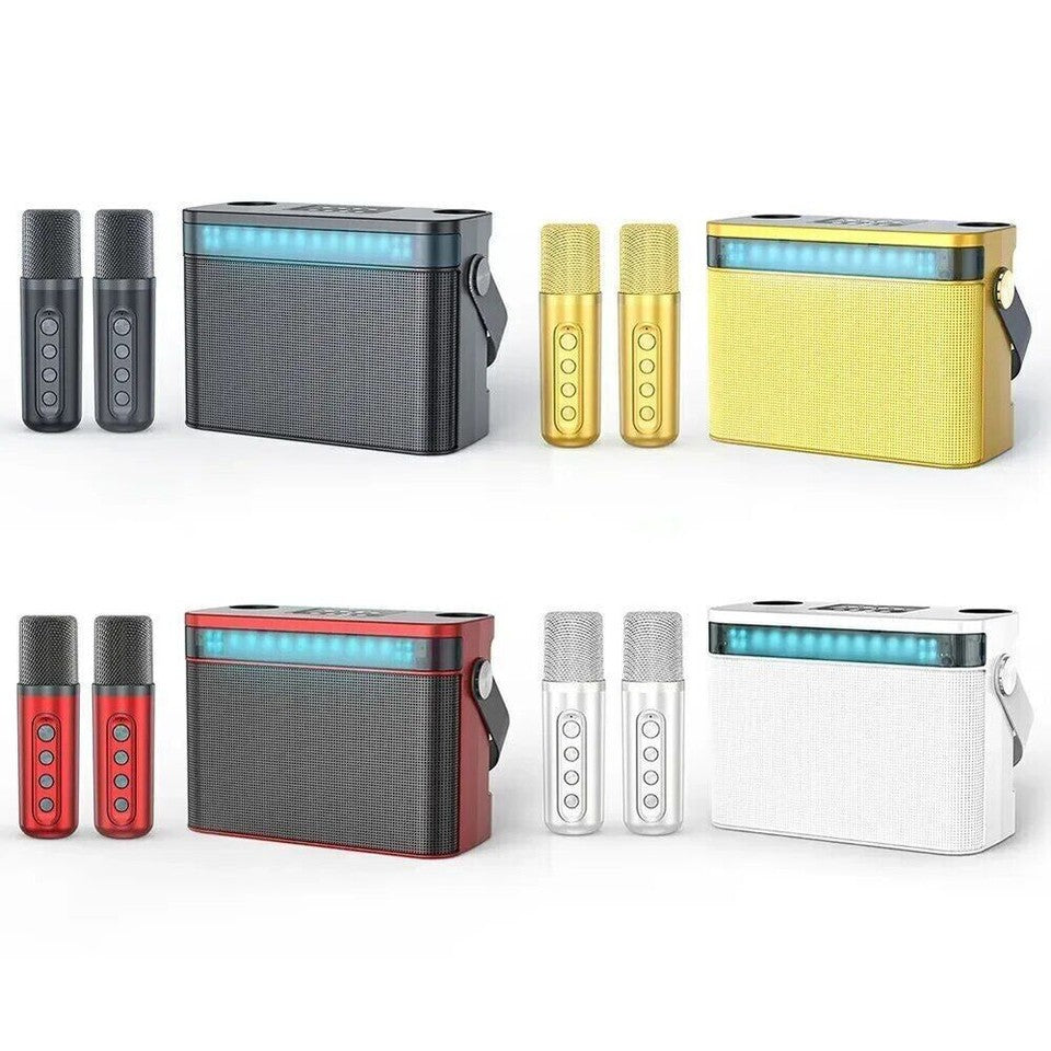 Portable HiFi Wireless Karaoke Speaker with 2 Wireless Microphones | DSP Audio LED Light Bluetooth PA Party Speaker
