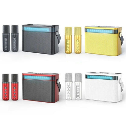 Portable HiFi Wireless Karaoke Speaker with 2 Wireless Microphones | DSP Audio LED Light Bluetooth PA Party Speaker