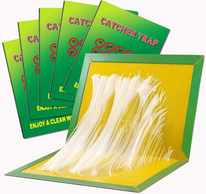 10-Pack Extra Strong Sticky Pest Traps – Indoor & Outdoor