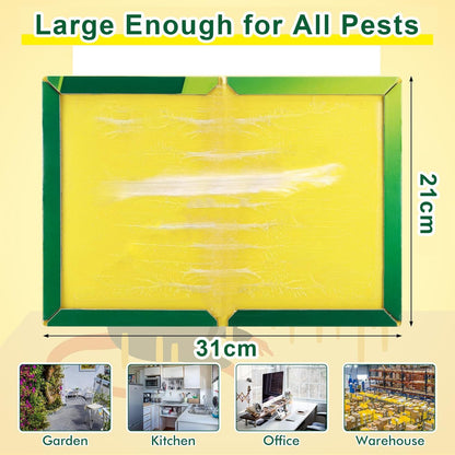 10-Pack Extra Strong Sticky Pest Traps – Indoor & Outdoor