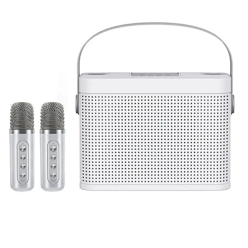 Portable HiFi Wireless Karaoke Speaker with 2 Wireless Microphones | DSP Audio LED Light Bluetooth PA Party Speaker